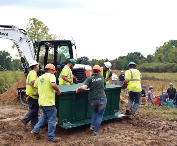 Constructed Wetlands